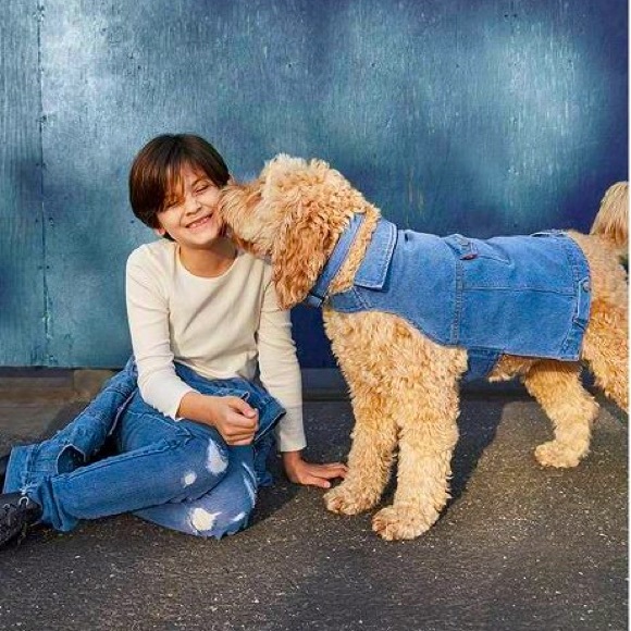 Levi's | Dog | Levis Pet Denim Jacket 